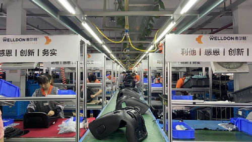 宁波 撒开两条腿服务双循环